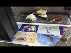 Roll To Roll Foil Stamping Dan Mesin Varnishing Printer Peningkatan Label Digital