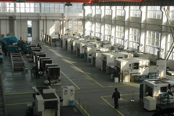 Performa tinggi Ecoo-TDS800 Foil Stamping Die Cutting Machine