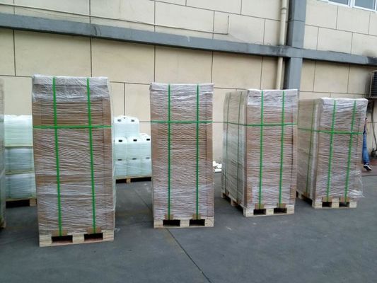 Bahan konsumsi cetak offset termal UV CTP Plate Developer