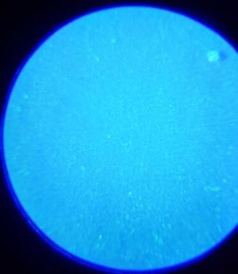 Selimut Karet Cetak Offset Plastik Kompresibel 4 Ply